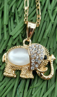 Elefante con cadena